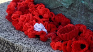 Historic dockyard in Chatham opens Remembrance Threads project