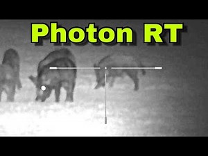 Sightmark Photon RT 4.5 x 42s | Full Review