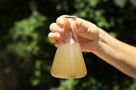 Contaminated Water: What Are the Risks to Your Health?