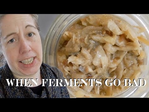 When Ferments Go Bad (How to tell and What to Look For)