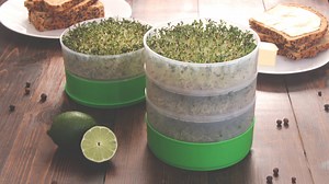 Watch Deluxe Kitchen Crop Sprouter on Amazon Live