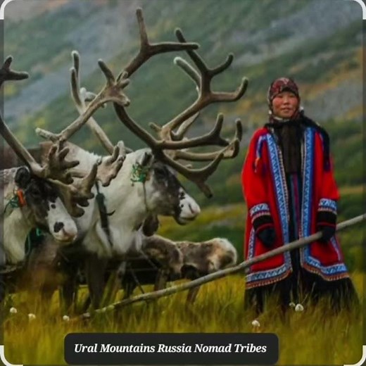 Russia Ural Mountains, Giant Rocks Pillars, Wildlife