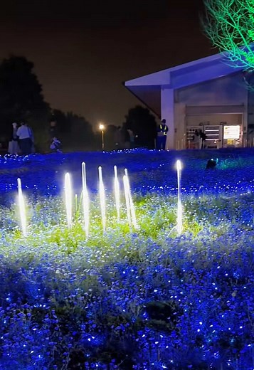 舎人公園ネモフィラライトアップ2026