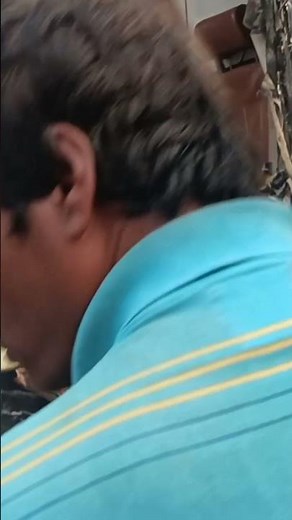 shyamoli paribahan road accident