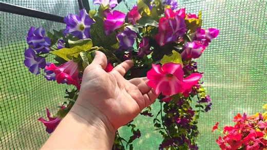 Watch Low maintenance artificial summer flowers for outdoors on Amazon Live