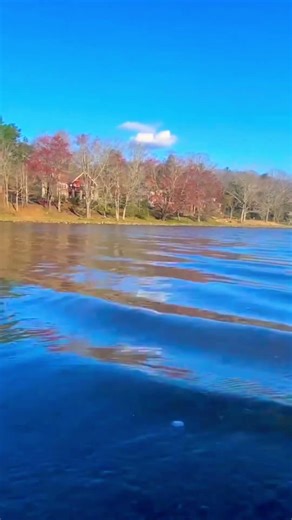RELAXING NATURE MUSIC HIKING #realnaturesounds #shortsfeed#hikingroutes #relaxingnaturemusic #hike