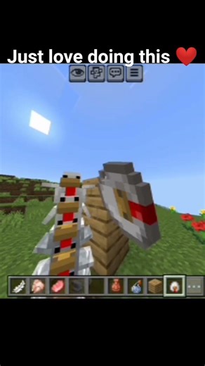 Just Love Doing This in Minecraft ❤️