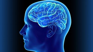 clip-1059780461-abstract-concept-continuous-electrical-activity-human-brain