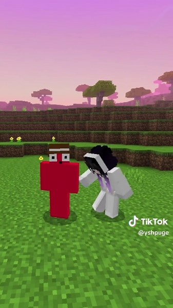 Exploring Aesthetic Minecraft Edits and Downloads