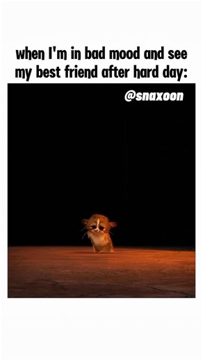 snax on Instagram: "He looks tiny, harmless, and obsessed with King Julien’s feet. But behind those giant eyes is a creature with unlimited energy and mysterious survival skills no one can explain. Sweet one second, unstoppable the next. Because sometimes the smallest sidekick in the jungle… is the one you should probably be most afraid of. #nostagia#viralreel#childhoodmemories#throwback#goodolddays"