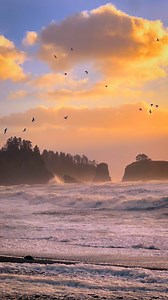 32K views · 775 reactions | A beautiful sunset at Rialto Beach, Olympic National Park in Washington State  | Ryan Resatka | Facebook