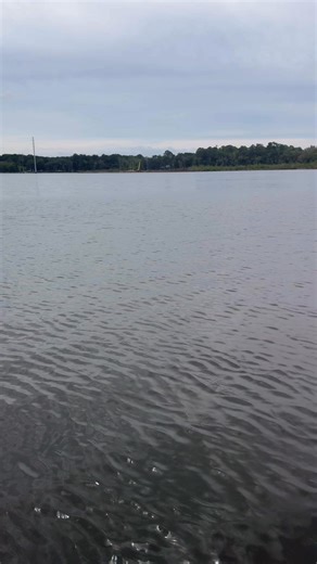 PFD and Stop signs. Safety first yall #kayak #kayakfishing #bassfishing #safetyfirst | Andrew Blair