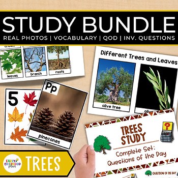 Trees Study Bundle The Creative Curriculum Real Photos Investigations Vocabulary