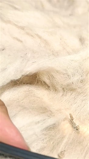 scratching ASMR • Satisfying #shorts