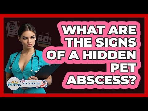 What Are The Signs Of A Hidden Pet Abscess? - Ask A Pet Vet