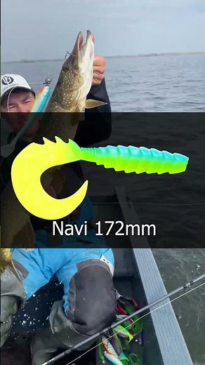 What model of lures do I use for catching Pike and Zander!?