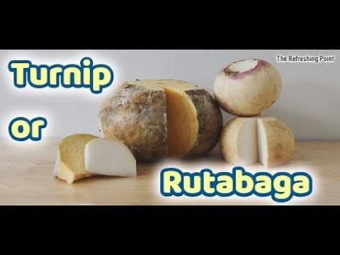 Difference Between Turnip and Rutabaga - Appearance and Health Benefits - Swede - Plus Turnip Greens