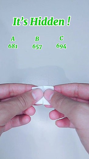 Guess the Hidden Number Challenge