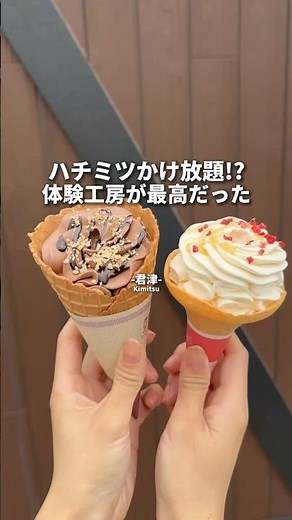 君津のはちみつ工房で極上の甘さを体験#はちみつ工房#千葉旅行
