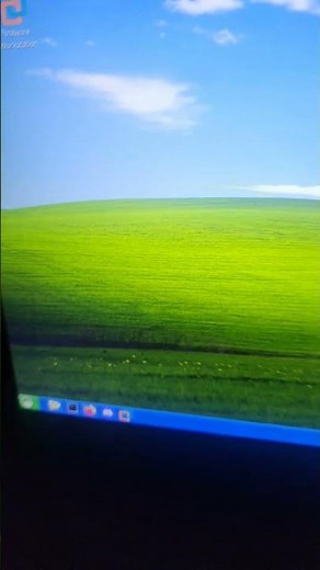 RETURN TO WINDOWS XP (Linux)