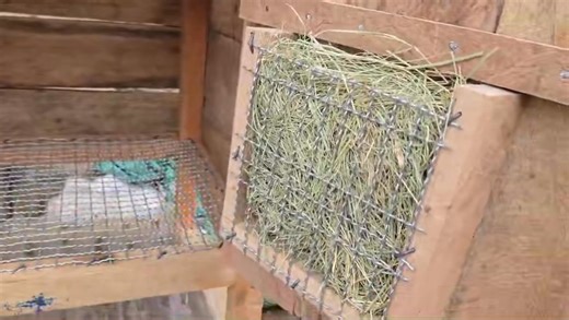 9.2K views · 103 reactions | Hi fam, we constructed this modern rabbit hutch for our client in Kiserian. It’s self cleaning and constructed with the most durable materials. As you can see we’ve introduced a new hayrack system for the furry friends, all cages were also installed with automatic drinkers. #rabbit #farming #agriculture #farmers | Bunnie Empire Ke | Facebook