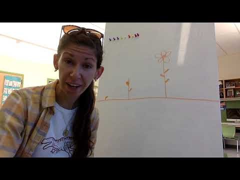 Levels of Movement: Low, Medium and High