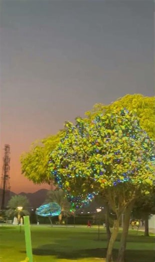 Muscat Nights & Omani Traditions