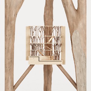 TREE FORM opens at the Palazzo Diedo in Venice  — Analogue