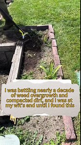 CHEASYOU Stirrup Hoe Garden Tool, Heavy Duty Hula Weeding Hoe for Gardening Long Handle , 30 to 72 inch Scuffle Hand Weed Hoe, Action Hoe for Easy Weeding