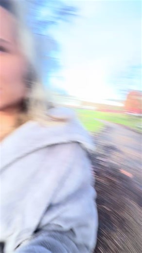 Understanding Crows: Insights and Observations