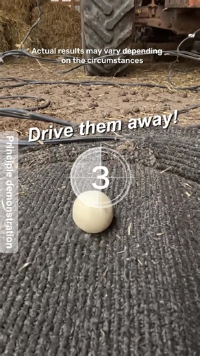 Rodents Destroying Your Equipment? Try This Safe, Natural Repellent! #Squirrels #NaturalRepellent #Rodents #NaturalIngredients #RepellentBalls