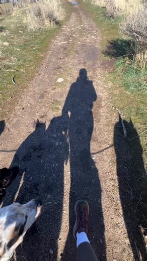 Healthy socialization is not: ❌ Forcing dogs to “work it out” ❌ Expecting your dog to tolerate rude behavior ❌ Believing your dog must like everyone Healthy socialization is: ✅ Teaching neutrality ✅ Protecting your dog’s boundaries ✅ Advocating before things escalate ✅ Creating calm, structured interactions Your dog doesn’t need more dog friends. Your dog needs better experiences and better advocacy. | Canyons Canine Training