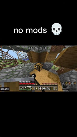 no mods 💀 #minecraft #minecraft