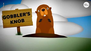 Groundhog Day: Punxsutawney Phil almost always predicts this