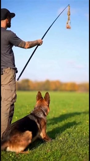 8 MÈTRES. La puissance en motion lente. 🤯 Le saut de Max est une œuvre d'art athlétique. | Max L'Audace