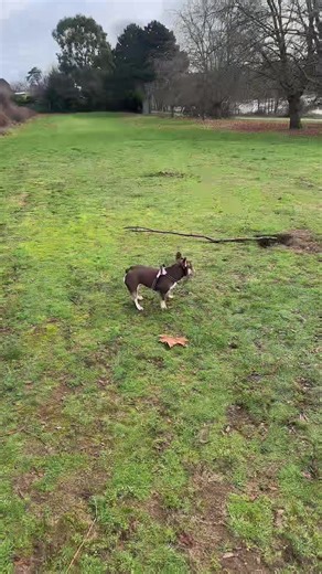 Exploring a 24-Hour Fast Experience