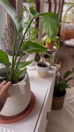 Upgrade your home with a beautiful sunroom addition