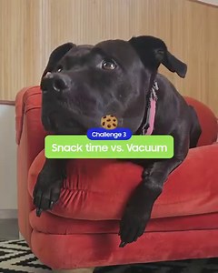 11K views · 149 reactions | The most powerful cordless vacuum* vs pet...