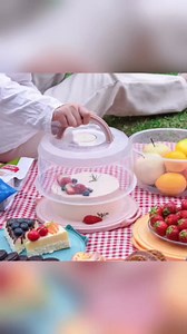 Cake Carrier Round Cake Stand Plus Height Cake Container with Cupcakes Pad, Handle, Lid Reusable Package Box for Transporting Desserts,Pie,Toast,Fruit