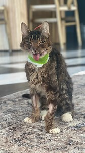 24K views · 10K reactions | Manny Update ❤️ Two weeks ago, we had...