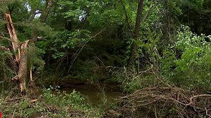 One death reported after tornado causes damage to Oklahoma towns