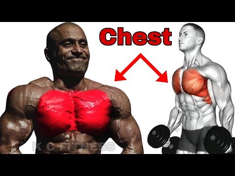 Best Chest Workout for Mass & Strength | Gym Chest Exercises for Beginners to Advanced