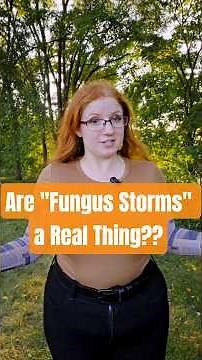 Are "Fungus Storms" a Real Thing??
