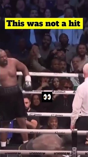 Did Deontay wilder slip or get hit #boxing #deontaywilder