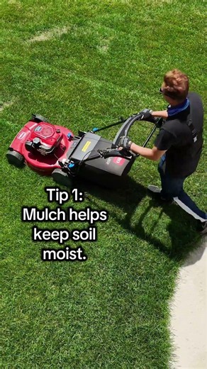 How to Mulch Magic 🌿 – Simple Lawn Care Tips for Homeowners #MulchAroundTrees #SummerLawnCare