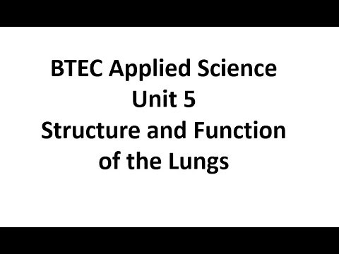 Unit 5 Biology: Structure and function of the lungs