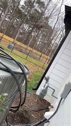 Playing with a reef blower?!