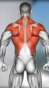 Build Some Wings So You Don't Need Anymore Redbulls 🚀 Introducing our specialized back routine, crafted for those who want to stand out with a majestic wingspan. Dive into exercises that will make your lats soar, giving you the strength and confidence of natural wings. So, gentlemen, why rely on a can when you can craft your own wingspan? Ditch the Redbull and embrace this workout. Save this routine for your next gym session and let's fly high together, naturally! ⚡️ #Gains #LatsWorkout #BackWo