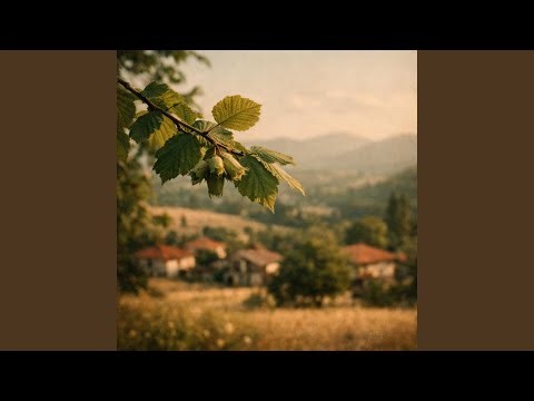 Fındık Dalları (Anatolian Synthesis)