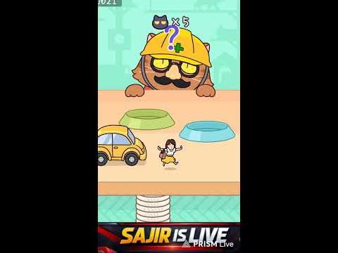 HIDE AND SEEK CAT ESCAPE #hideandseekcatescape